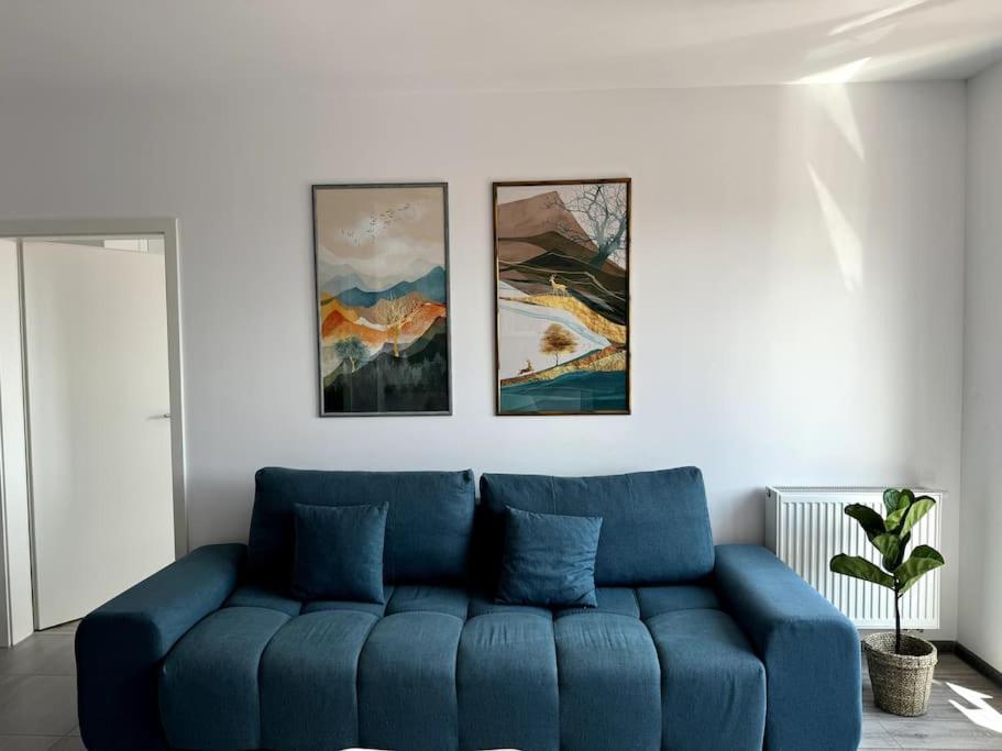 Seville Studio Cu Terasa & Vedere La Munte Braşov Eksteriør billede